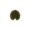 Riviera Alchemille leaf - forest green 18cm