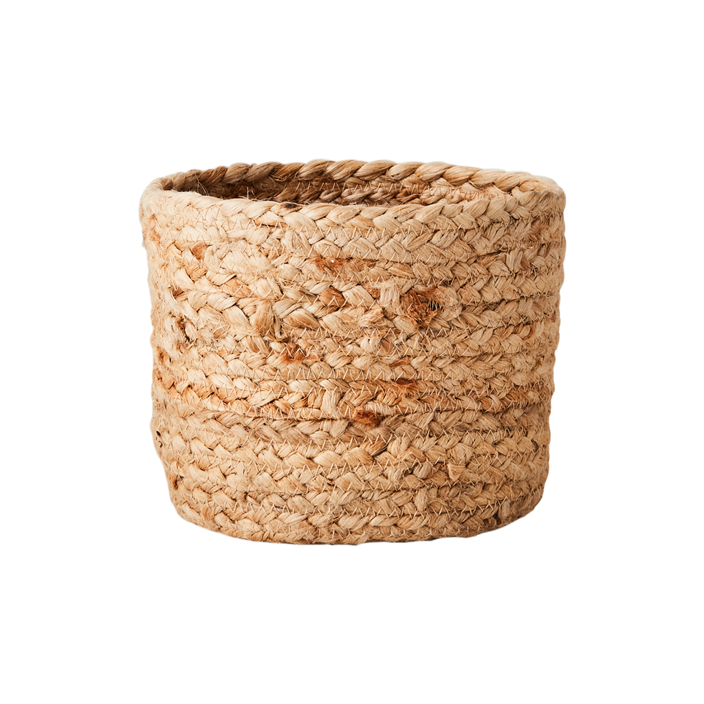 COLLECT Korg, Natur/grön