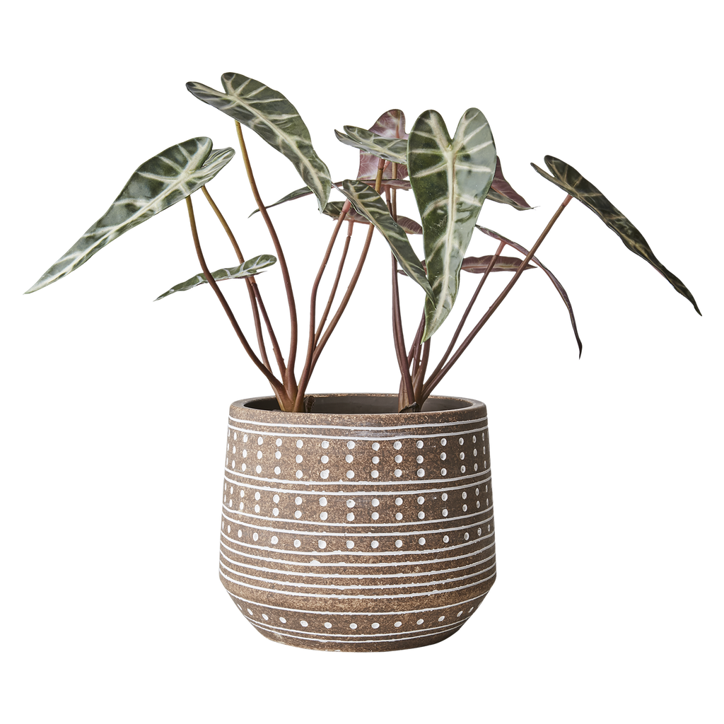 CAMILLE Kruka L, Beige