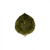 Riviera Hydrangea leaf - forest green 22cm