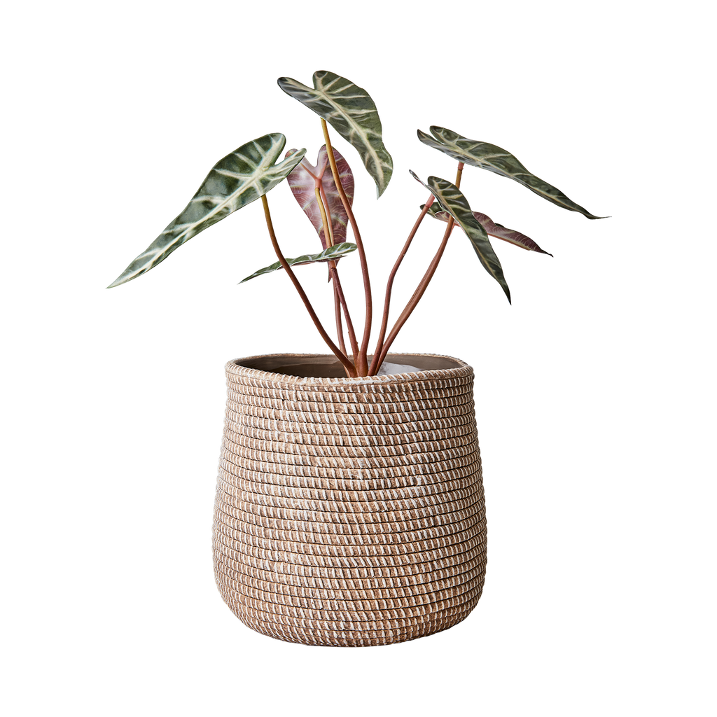 CAMILLE Kruka M, Beige