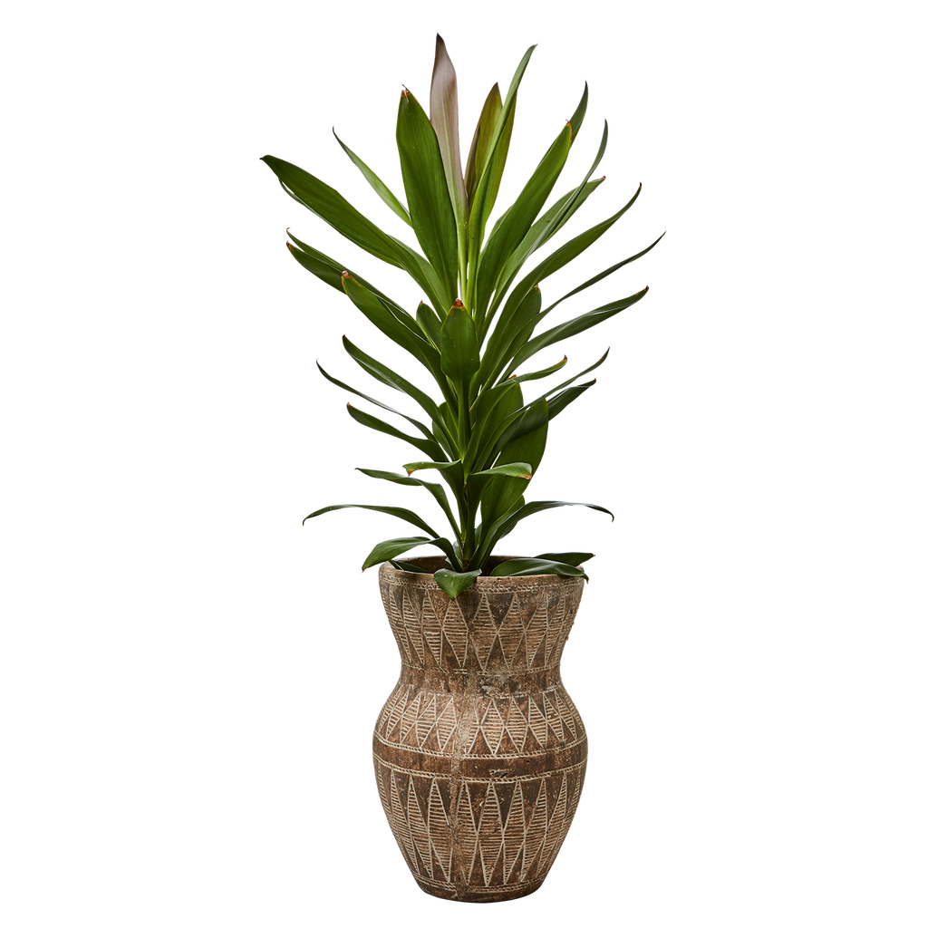 CAMILLE Kruka, Beige