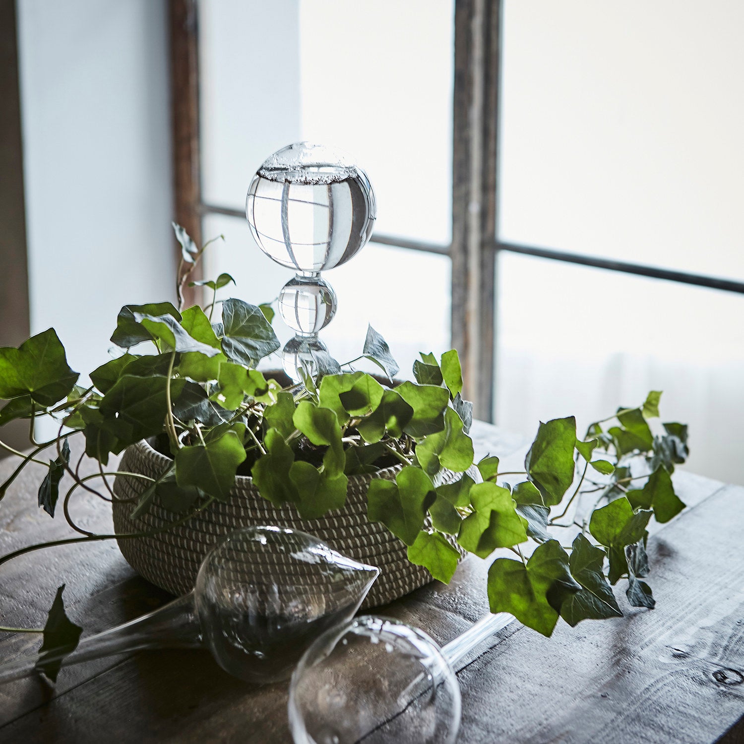 OLIVIA Bevattningskula, Klar