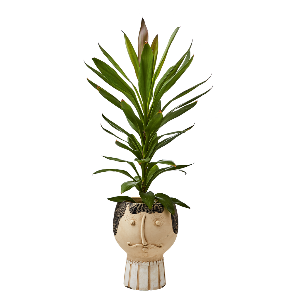 CAMILLE Kruka L, Beige/svart