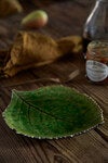 Riviera Hydrangea leaf - grön 17cm