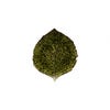 Riviera Hydrangea leaf - forest green 22cm