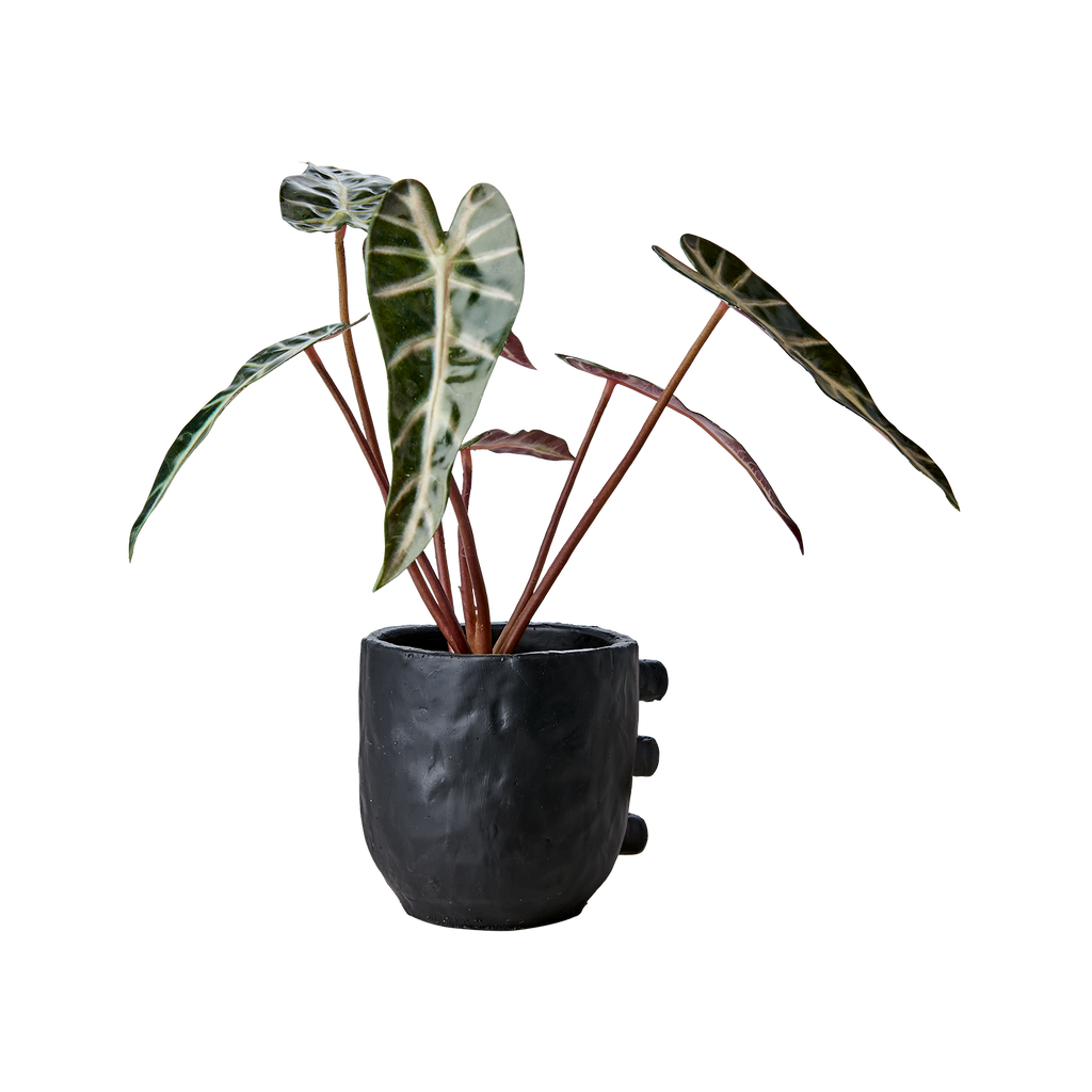 CAMILLE Kruka S, Svart