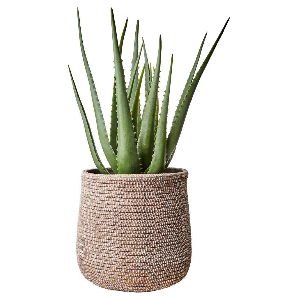 CAMILLE Kruka L, Beige