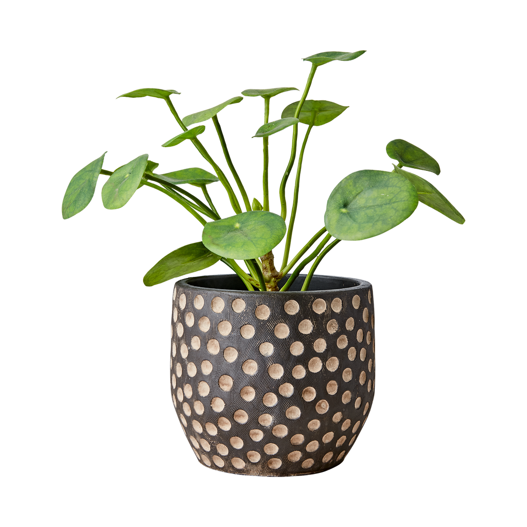 CAMILLE Kruka M, Svart/brun