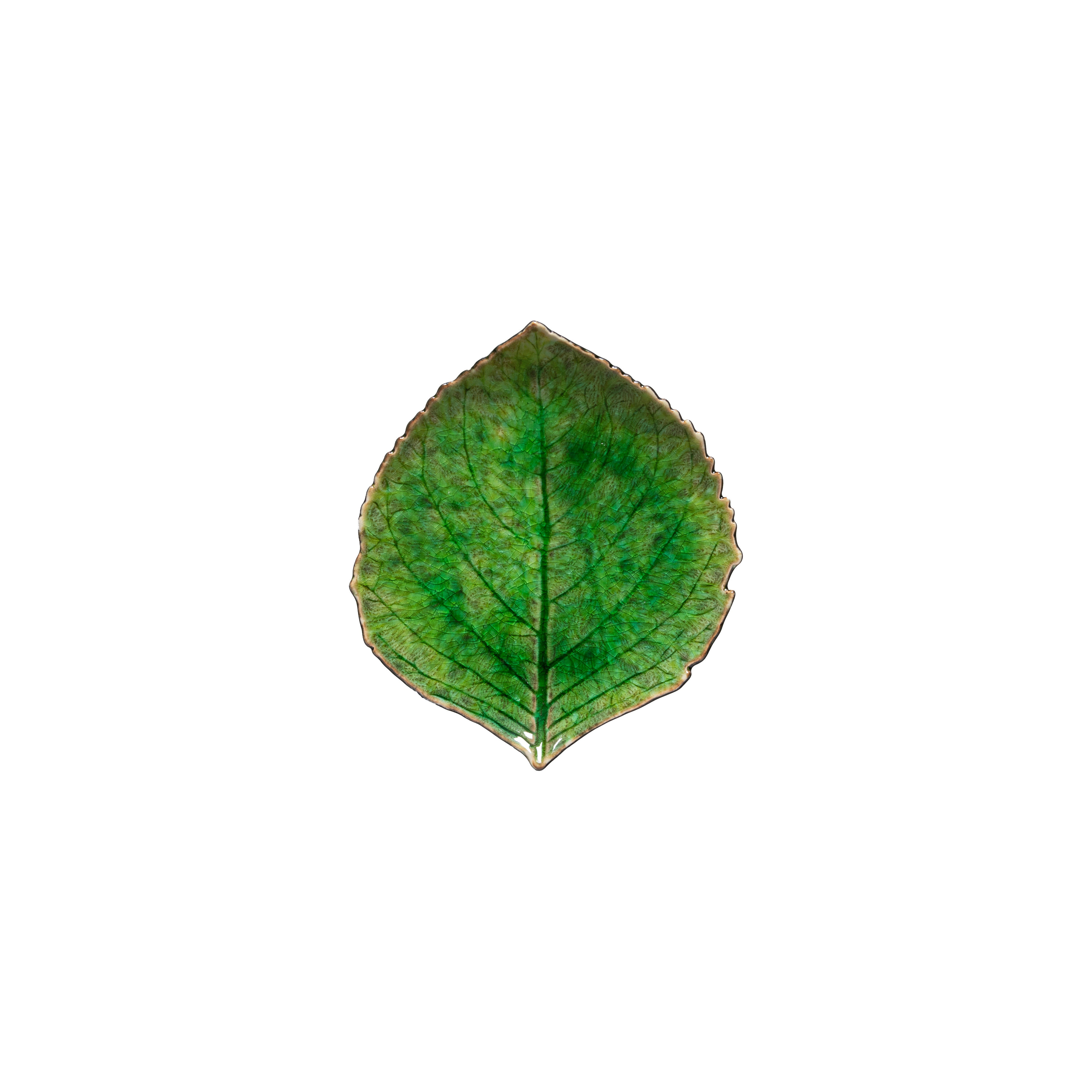Riviera Hydrangea leaf - grön 17cm