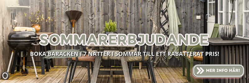 Mors dag (3)
