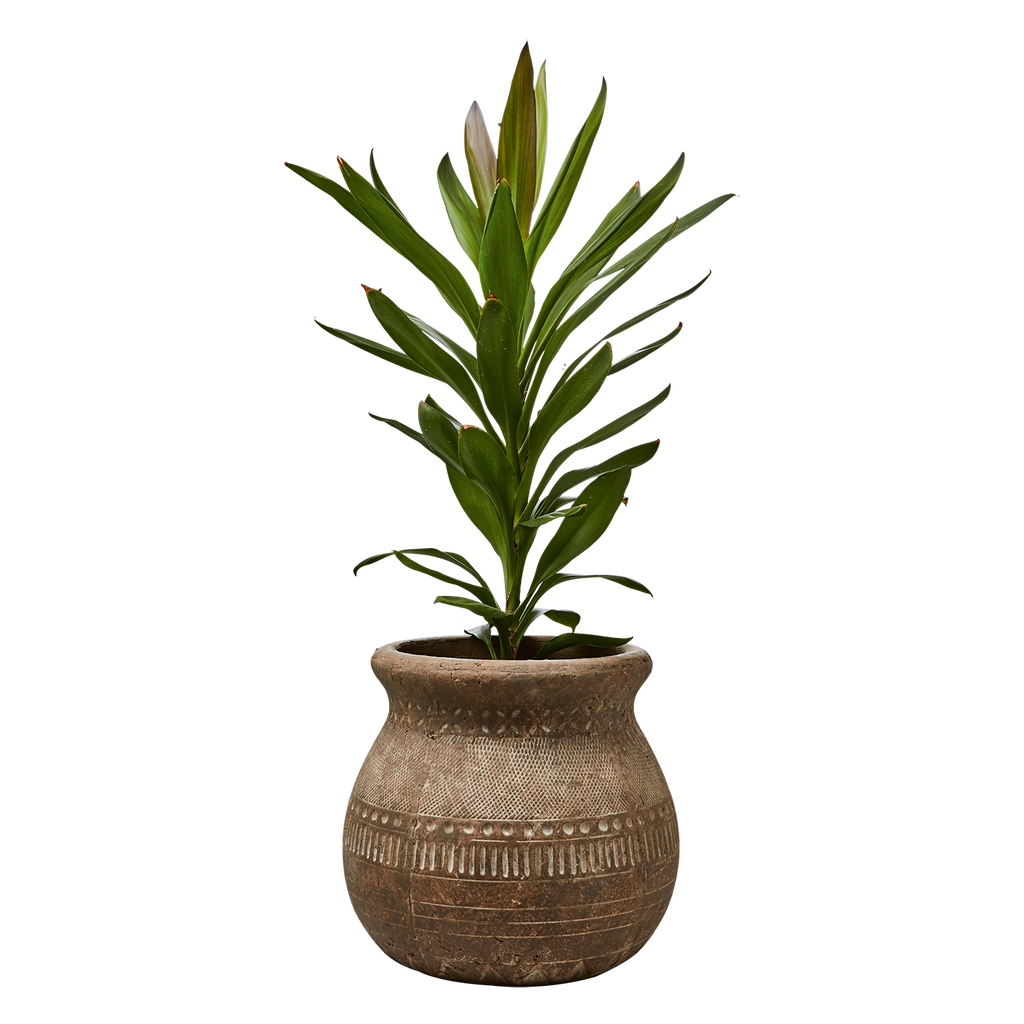 CAMILLE Kruka M, Beige