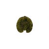 Riviera Alchemille leaf - forest green 18cm