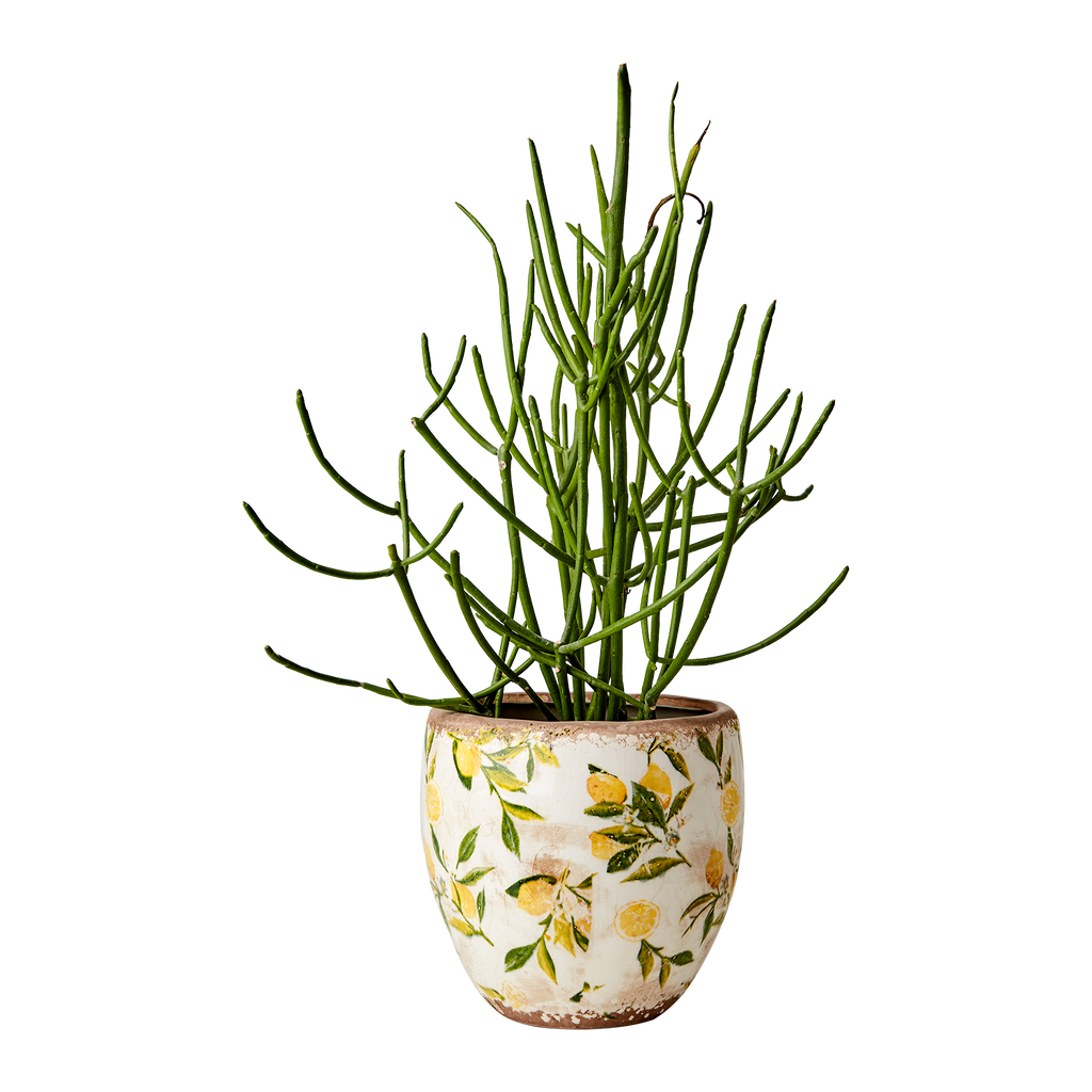 LEMONA Kruka L, Vit/grön/gul