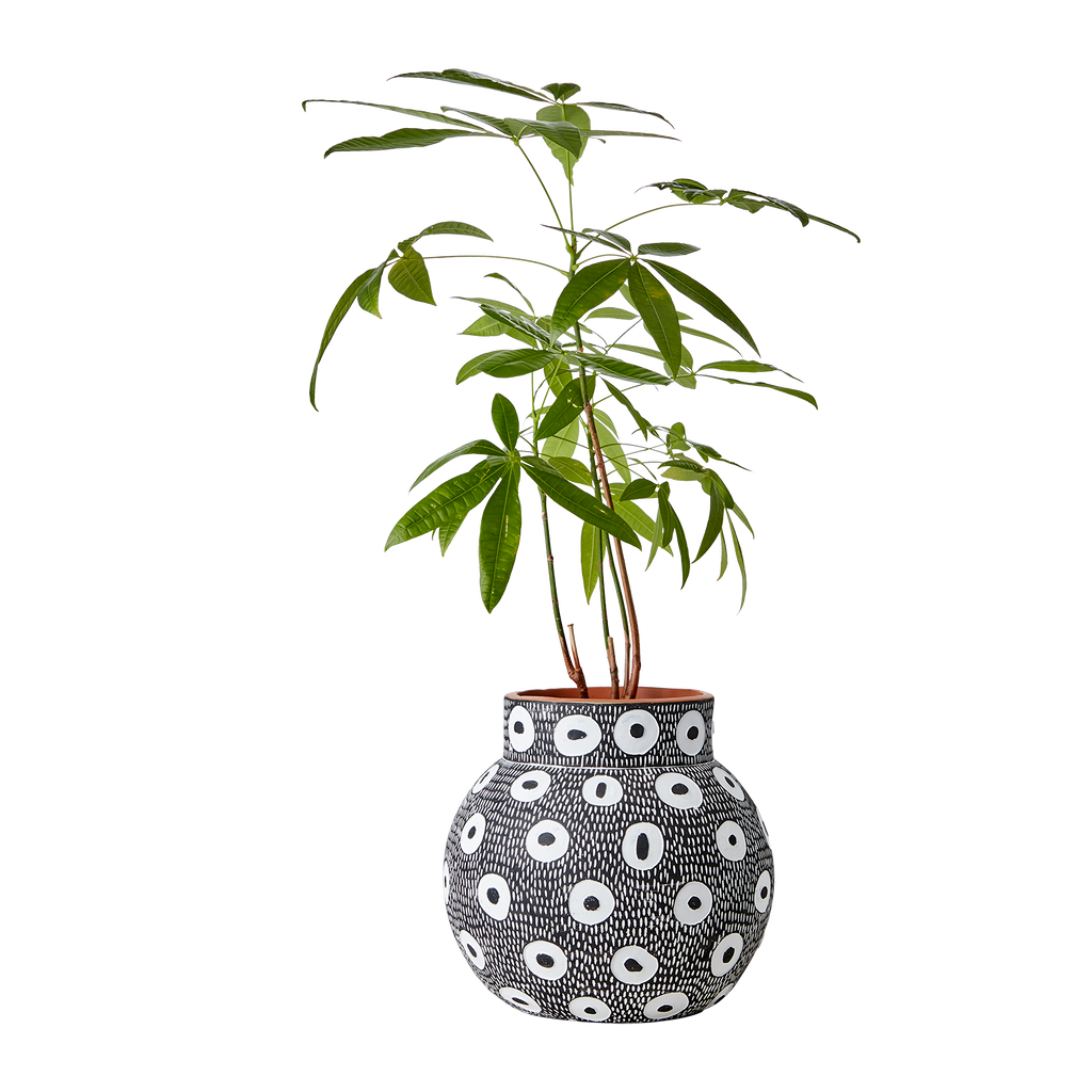 CAMILLE Kruka L, Svart/vit