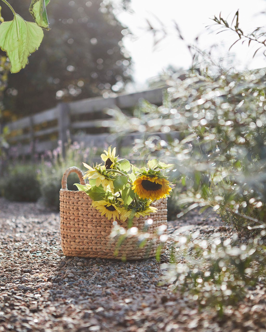 COLLECT Korg, Natur/grön