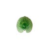 Riviera Alchemille leaf grön 18cm