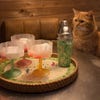 COCKTAIL Shaker, Klar/rosa